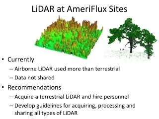 lidar at ameriflux s ites