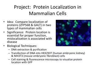Project: Protein Localization in Mammalian Cells
