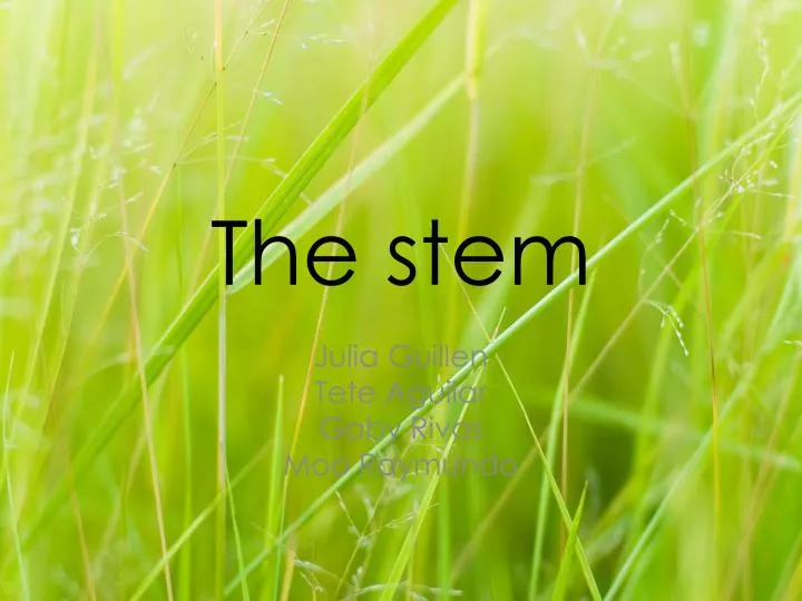 the stem
