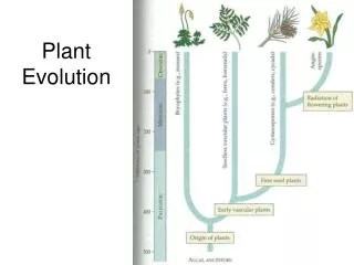 Plant Evolution