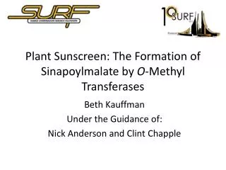 Plant Sunscreen: The Formation of Sinapoylmalate by O -Methyl Transferases