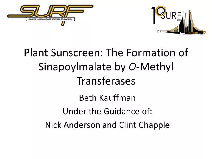 plant sunscreen the formation of sinapoylmalate by o methyl transferases