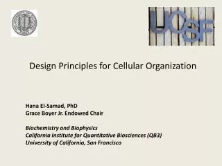 Hana El-Samad, PhD Grace Boyer Jr. Endowed Chair Biochemistry and Biophysics