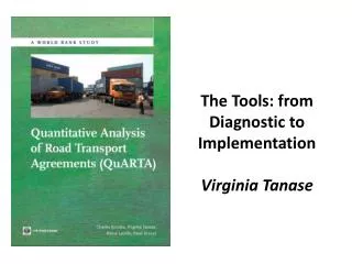 The Tools: from Diagnostic to Implementation Virginia Tanase