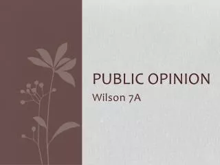 Public Opinion