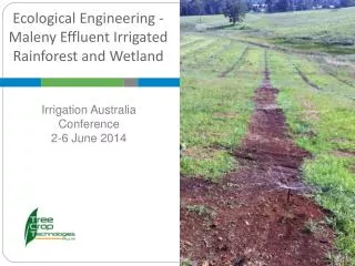 Ecological Engineering - Maleny Effluent Irrigated Rainforest and Wetland