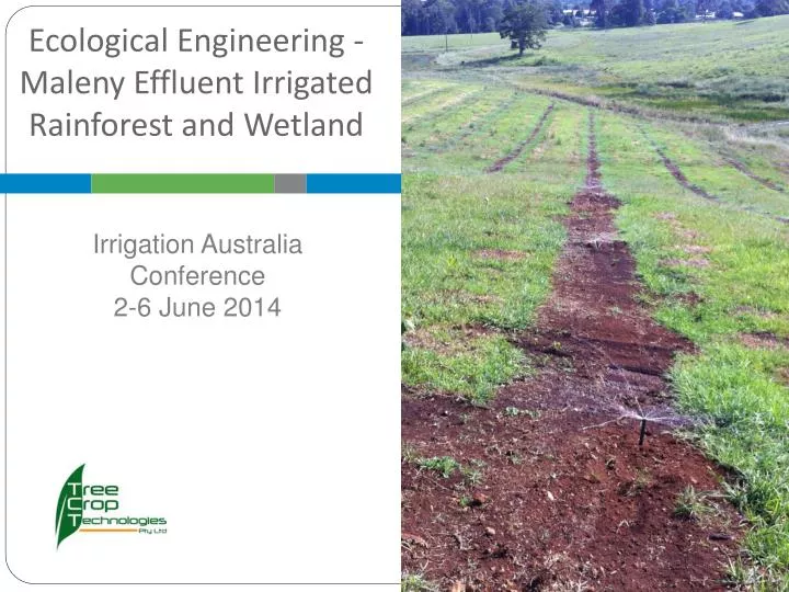 ecological engineering maleny effluent irrigated rainforest and wetland