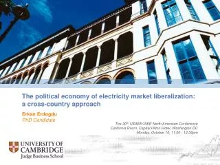 The political economy of electricity market liberalization: a cross-country approach