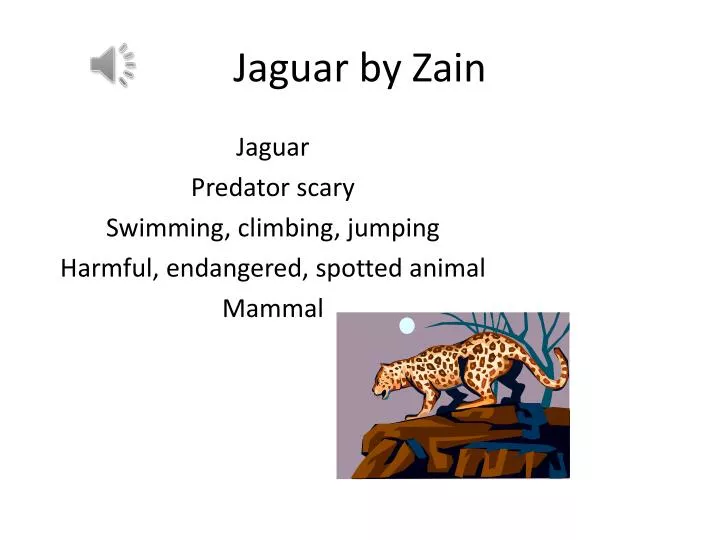 jaguar by zain