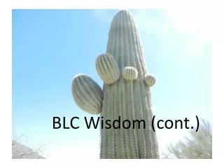 BLC Wisdom (cont.)