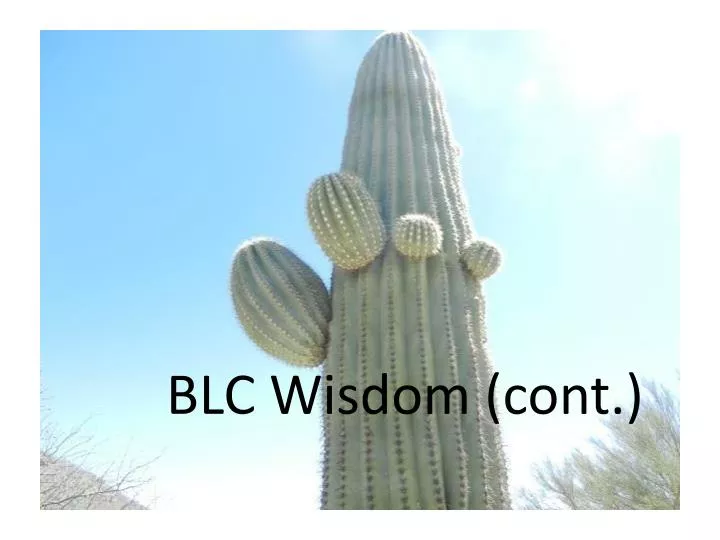 blc wisdom cont