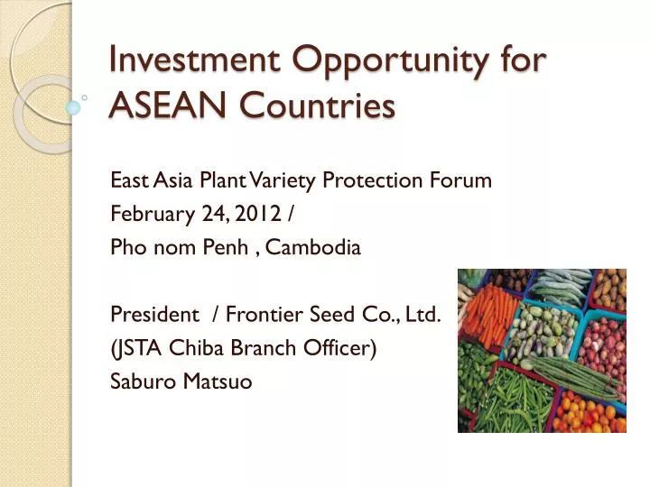 investment opportunity for asean countries