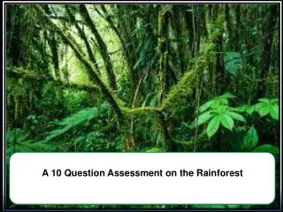 A 10 Question Assessment on the Rainforest