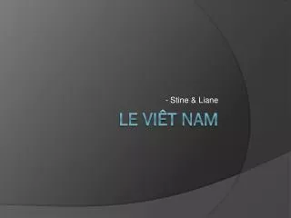 stine liane