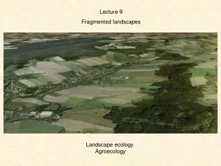 Lecture 9 Fragmented landscapes