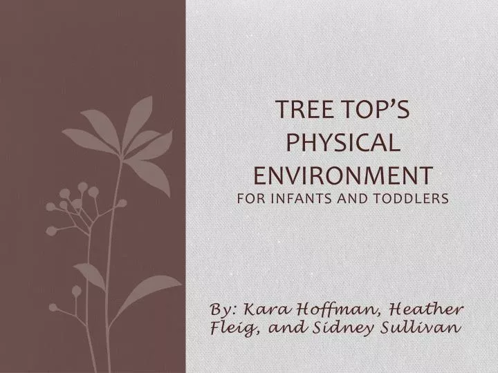 tree top s physical environment