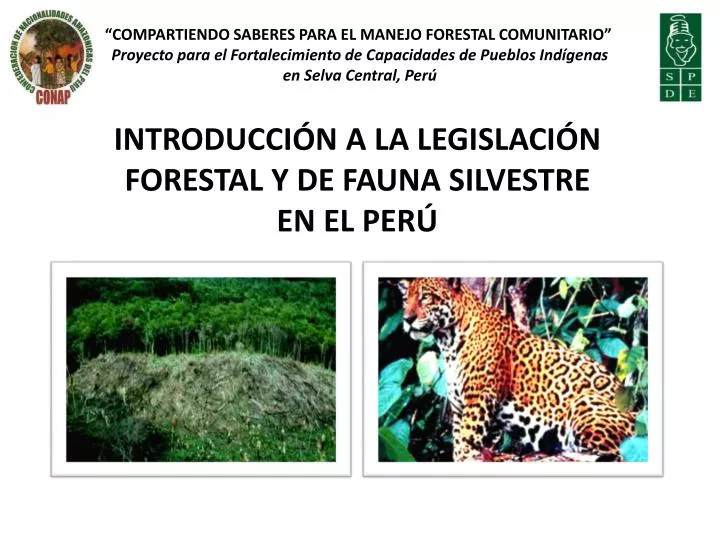 introducci n a la legislaci n forestal y de fauna silvestre en el per