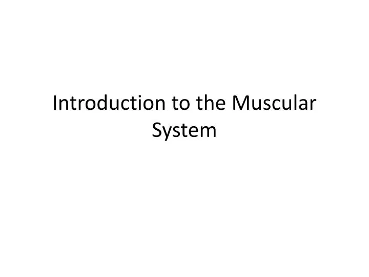 introduction to the muscular system