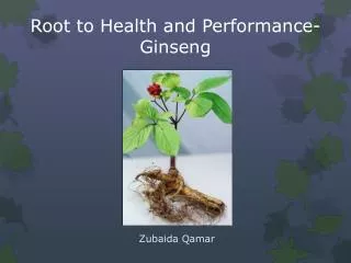 Root to Health and Performance-Ginseng