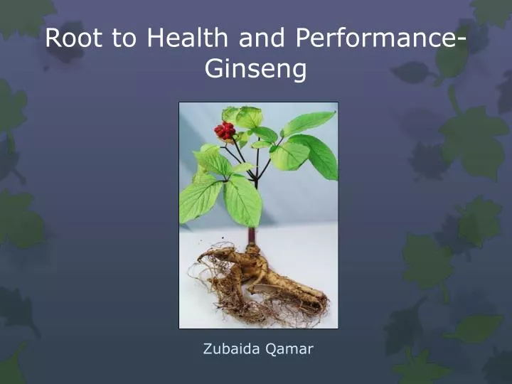 root to health and performance ginseng