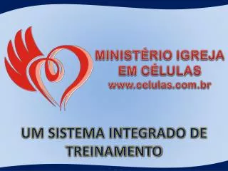 um sistema integrado de treinamento
