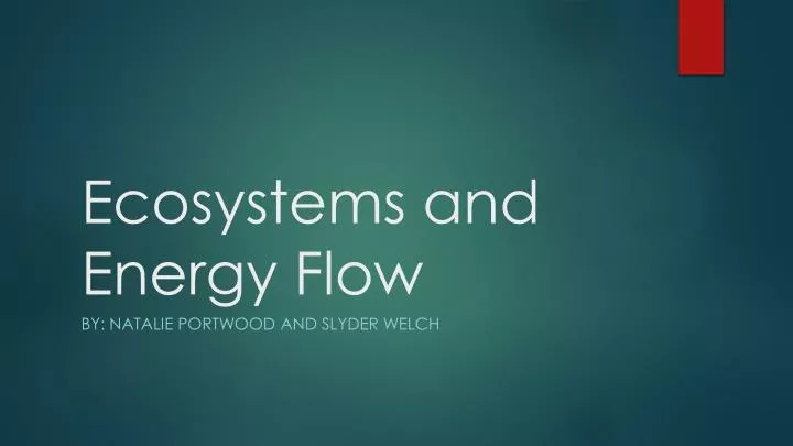 ecosystems and energy flow