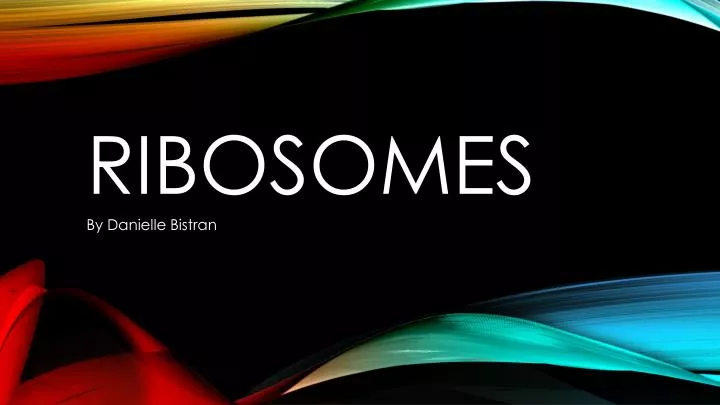 ribosomes