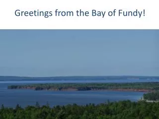 Greetings from the Bay of Fundy!