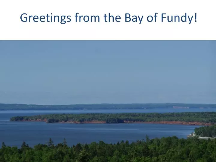 greetings from the bay of fundy