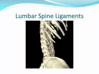 Lumbar Spine Ligaments