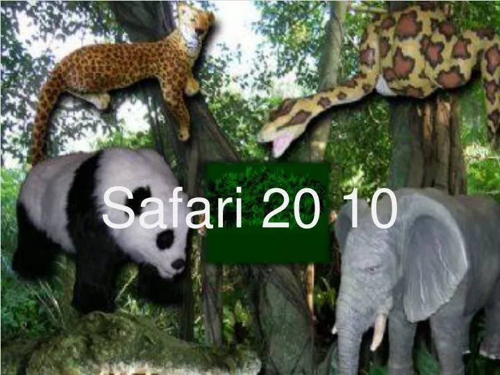 safari 20 10