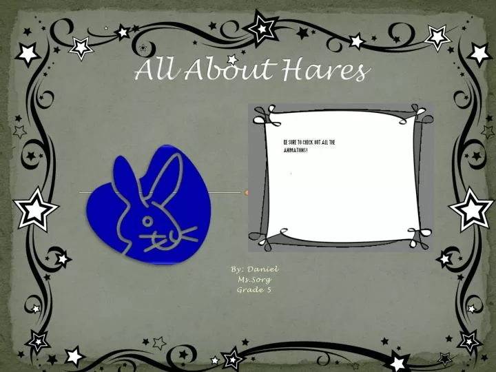 all about hares