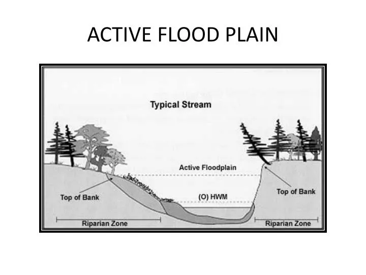 active flood plain