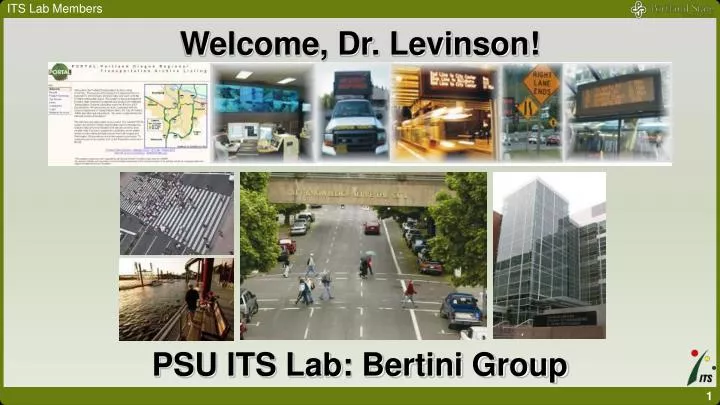 welcome dr levinson