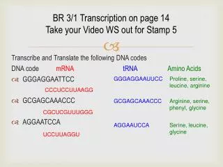 BR 3/1 Transcription on page 14 Take your Video WS out for Stamp 5