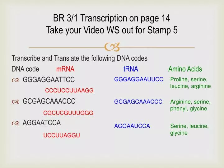 br 3 1 transcription on page 14 take your video ws out for stamp 5