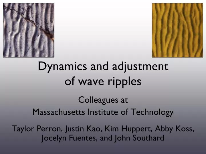 dynamics and adjustment of wave ripples