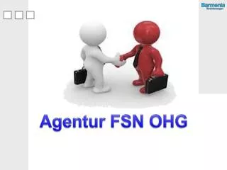 Agentur FSN OHG