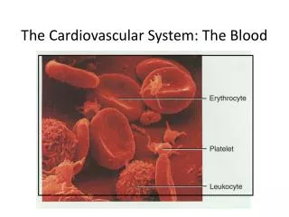 The Cardiovascular System: The Blood