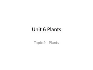 Unit 6 Plants