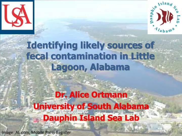 identifying likely sources of fecal contamination in little lagoon alabama