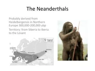 The Neanderthals
