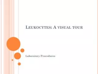 Leukocytes: A visual tour