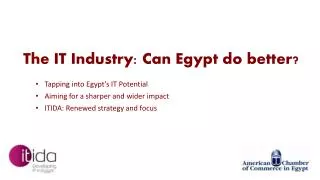 The IT Industry: Can Egypt do better?