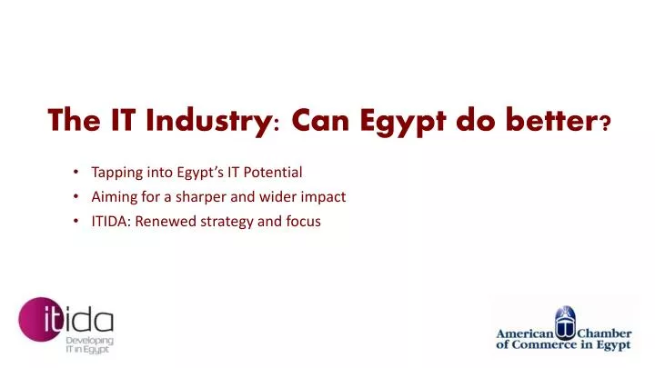 the it industry can egypt do better