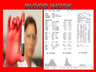 BLOOD WORK