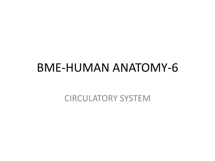 bme human anatomy 6