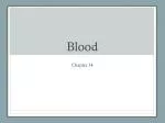 Blood - slide 1