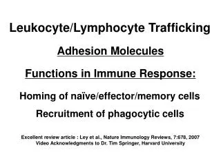 Excellent review article : Ley et al., Nature Immunology Reviews, 7:678, 2007