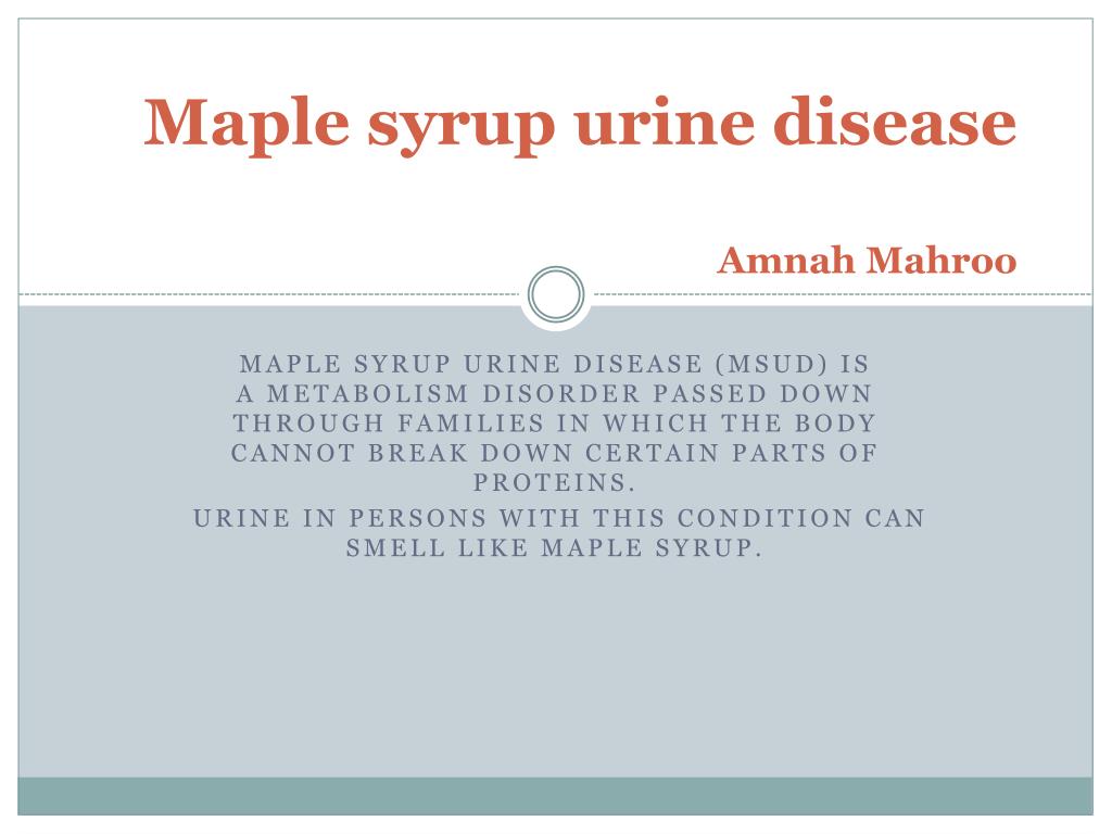 PPT - Maple syrup urine disease Amnah Mahroo PowerPoint Presentation ...
